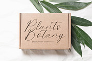 Belinda Tsakila Modern Freestyle, a Script Font by Letterena Studios Script (Thumbnail 2 of 15)