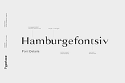 Augustine - A Strong Serif Typeface, a Serif Font by Cassandra Cappello (Thumbnail 3 of 5)