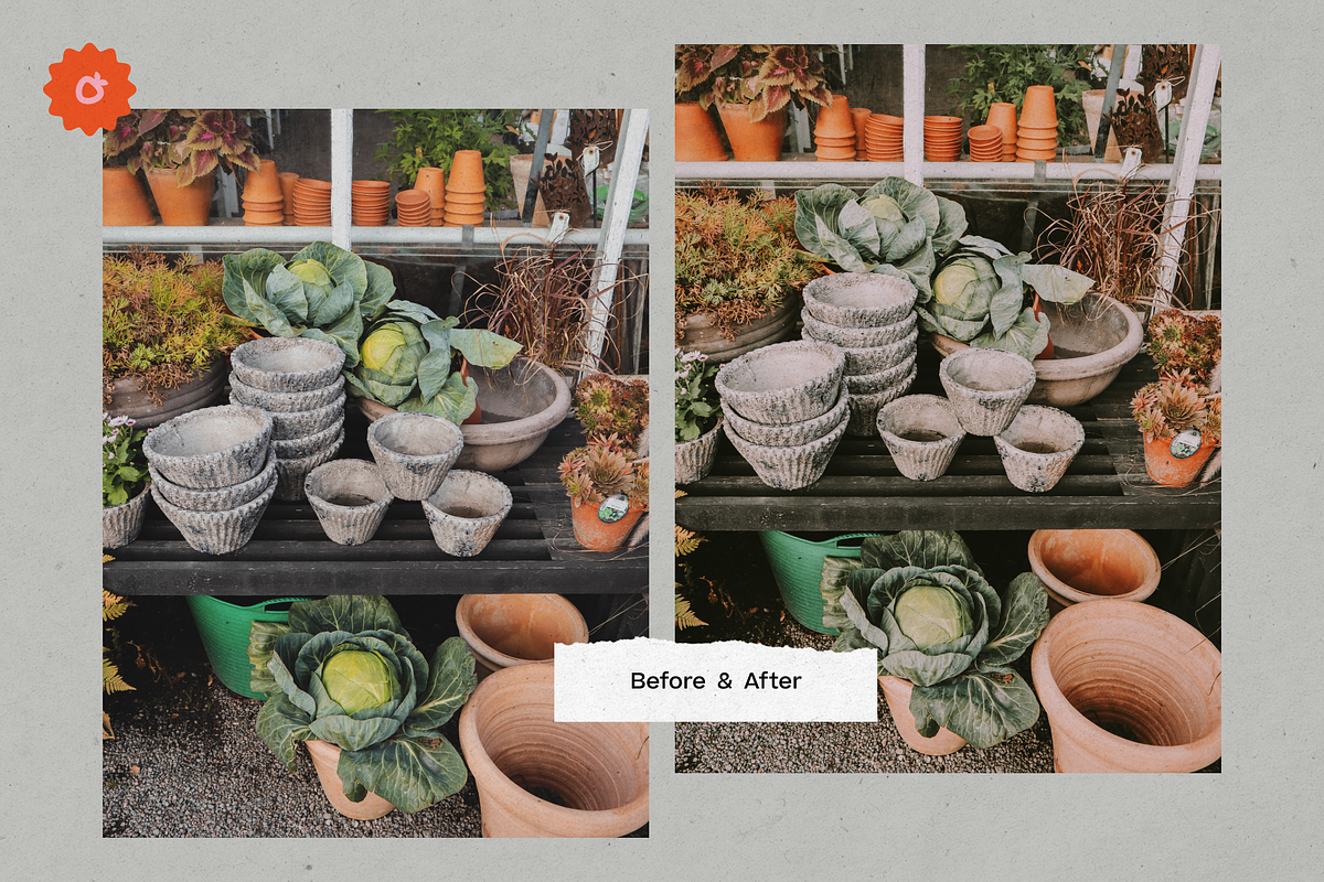 8 Jardin Lightroom Presets, a Preset Add-On by SHOOM HOUSE (Photo 13 of 15)