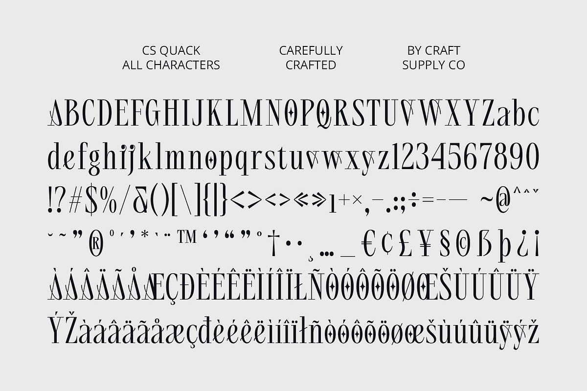 CS Quack – Aesthetic Font, a Serif Font by Craft Supply Co. (Photo 8 of 8)