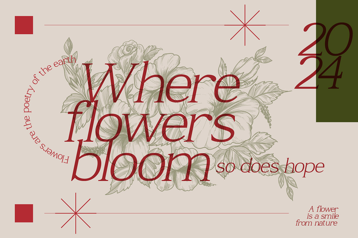 Nadaria - Creative Serif Font, a Serif Font by Vadovastd (Photo 4 of 7)