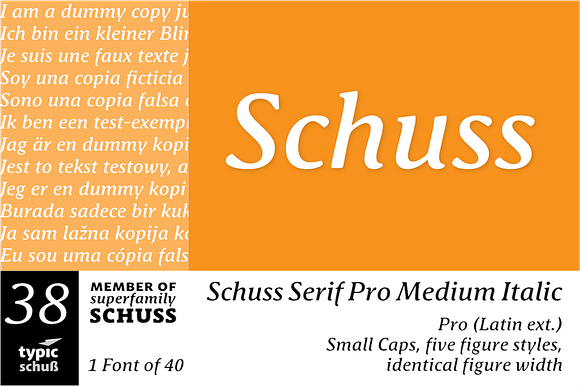 SchussSerifProMedIta No.38 (1 Font) preview 6