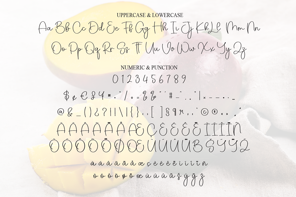 Mango | Script Font, a Handwritten Font by Scratchones (Photo 7 of 9)