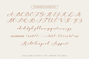 Sellinky - modern calligraphy script, a Script Font by Siwox Studios (Thumbnail 6 of 8)