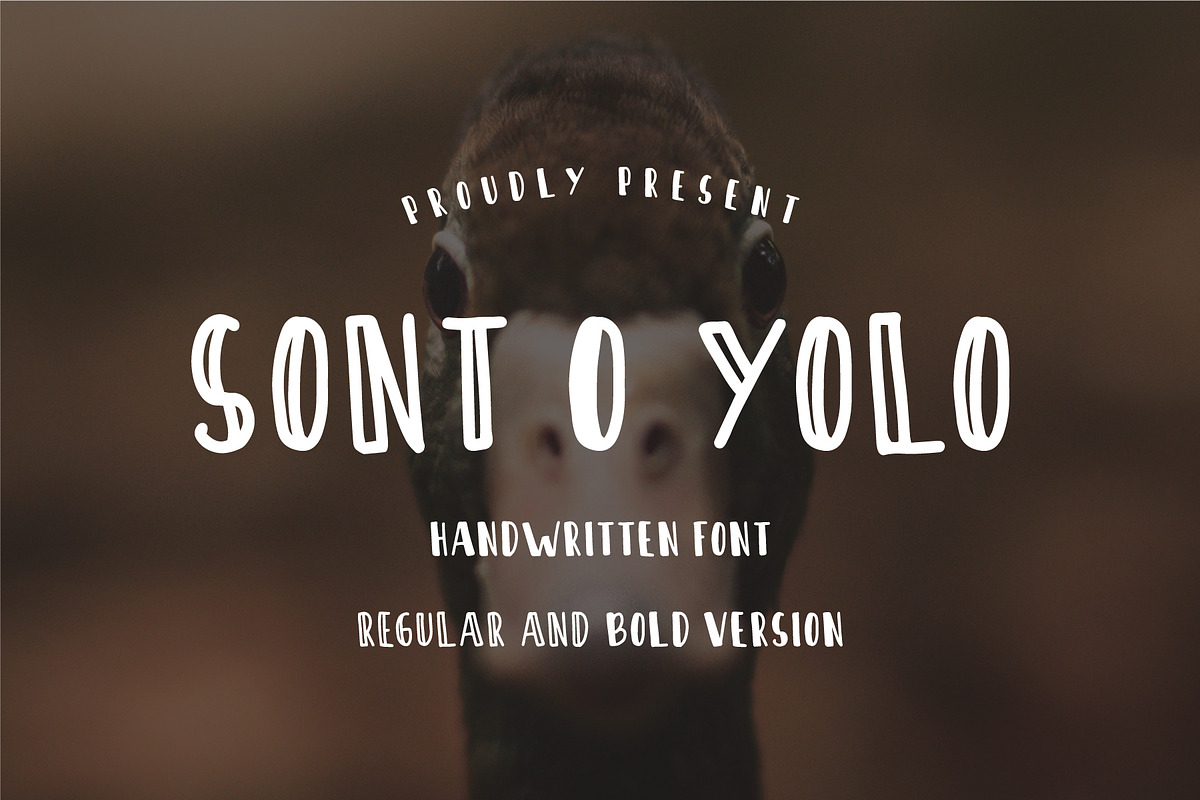 Sont O Yolo - Handwritten Font