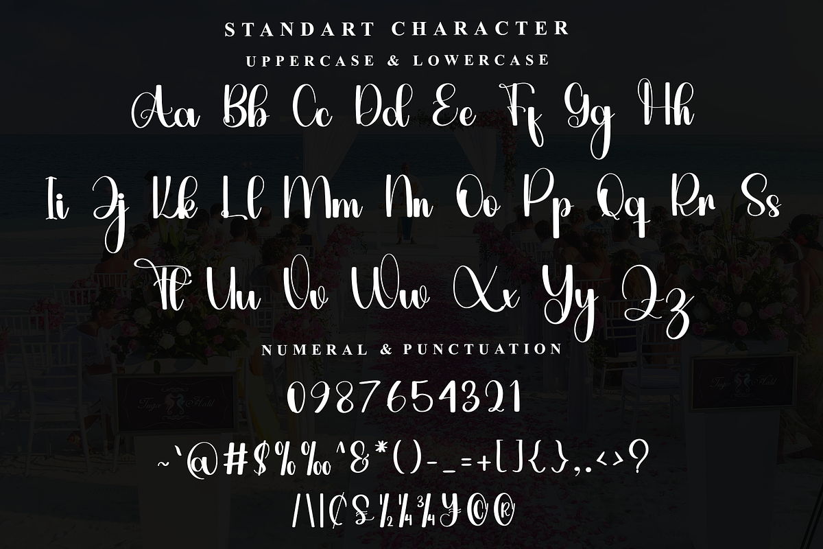 Haily, a Script Font by FreshTypeINK (Photo 3 of 7)