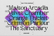 TAN - MISCHIEF, a Font by TanType (Thumbnail 5 of 11)