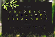 Bamboo Headline Font, a Slab Serif Font by artyway (Thumbnail 2 of 5)