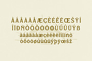 Qetalon Retro Typeface Font, a Serif Font by Storytype Studio (Thumbnail 13 of 15)