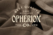 ED Bushland - Unique Display Serif, a Serif Font by Emyself Design (Thumbnail 5 of 10)
