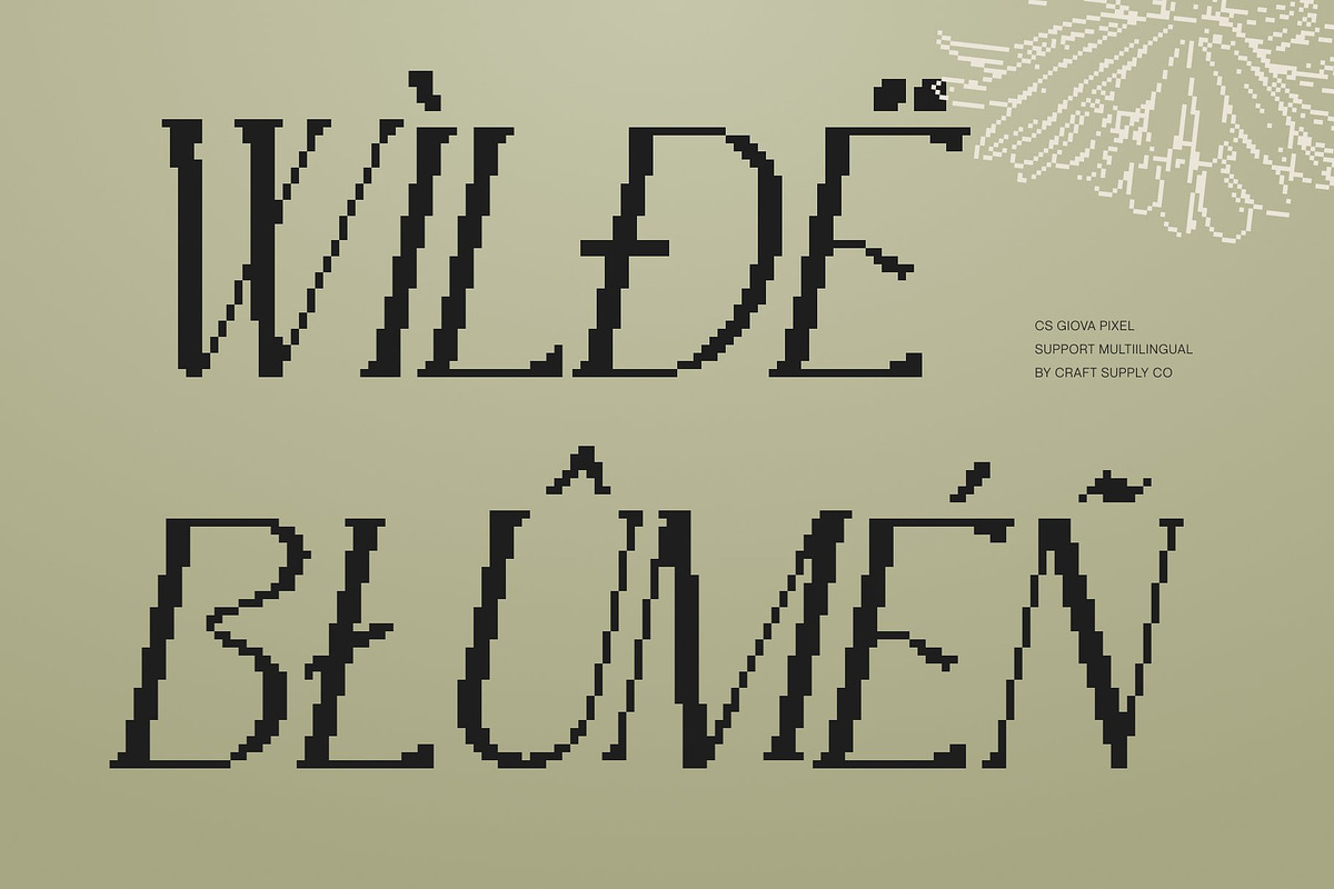 CS Giova Pixel, a Serif Font by Craft Supply Co. (Photo 4 of 8)