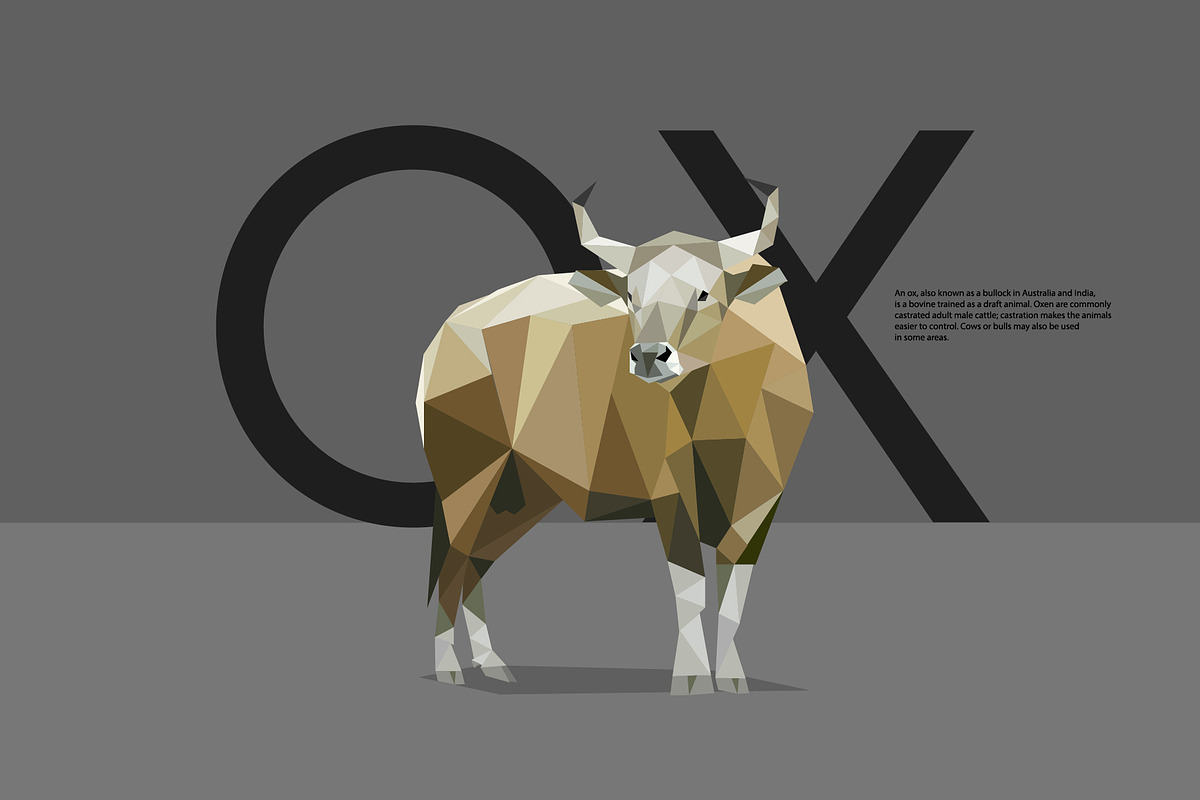 Farm Animals Pack in Low Poly Style, an Illustration by Volkan Aydemir (Photo 1 of 12)