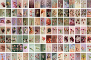 Bloom Atelier | 345 stock images, a Nature Photo by Tale.Haus (Thumbnail 17 of 20)