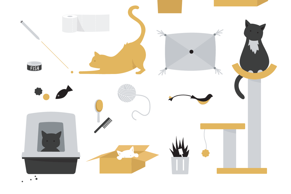 Cats and cat stuff preview 3