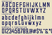 Resilience Challenges Font, a Serif Font by 177Studio (Thumbnail 6 of 8)