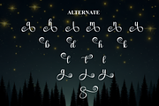 Starnight | Script Font, a Handwritten Font by Scratchones (Thumbnail 8 of 9)