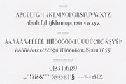 Newcraft, a Serif Font by Ayca Atalay (Thumbnail 5 of 5)