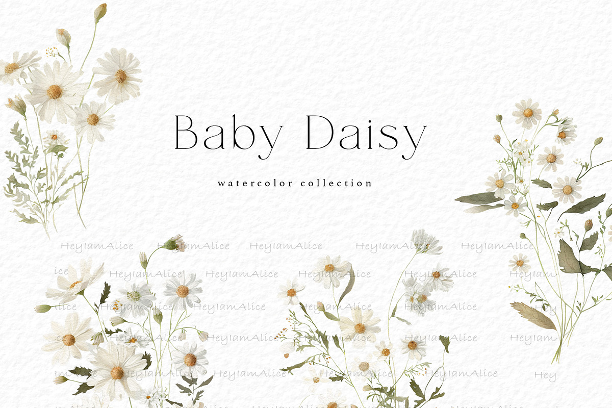 Baby Daisy Flower, a Decorative Illustration by heyiamalice (Photo 3 of 12)