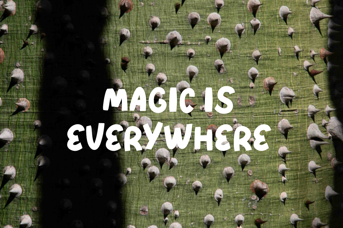 DAYDREAM PAPER - font, a Blackletter Font by Ashiya Pixel (Photo 6 of 8)