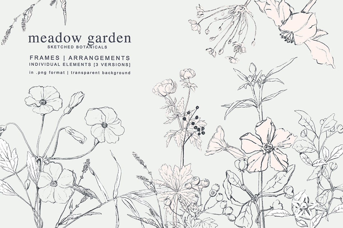 Pencil Sketched Botanical Set, a Background Graphic by Patishop Art