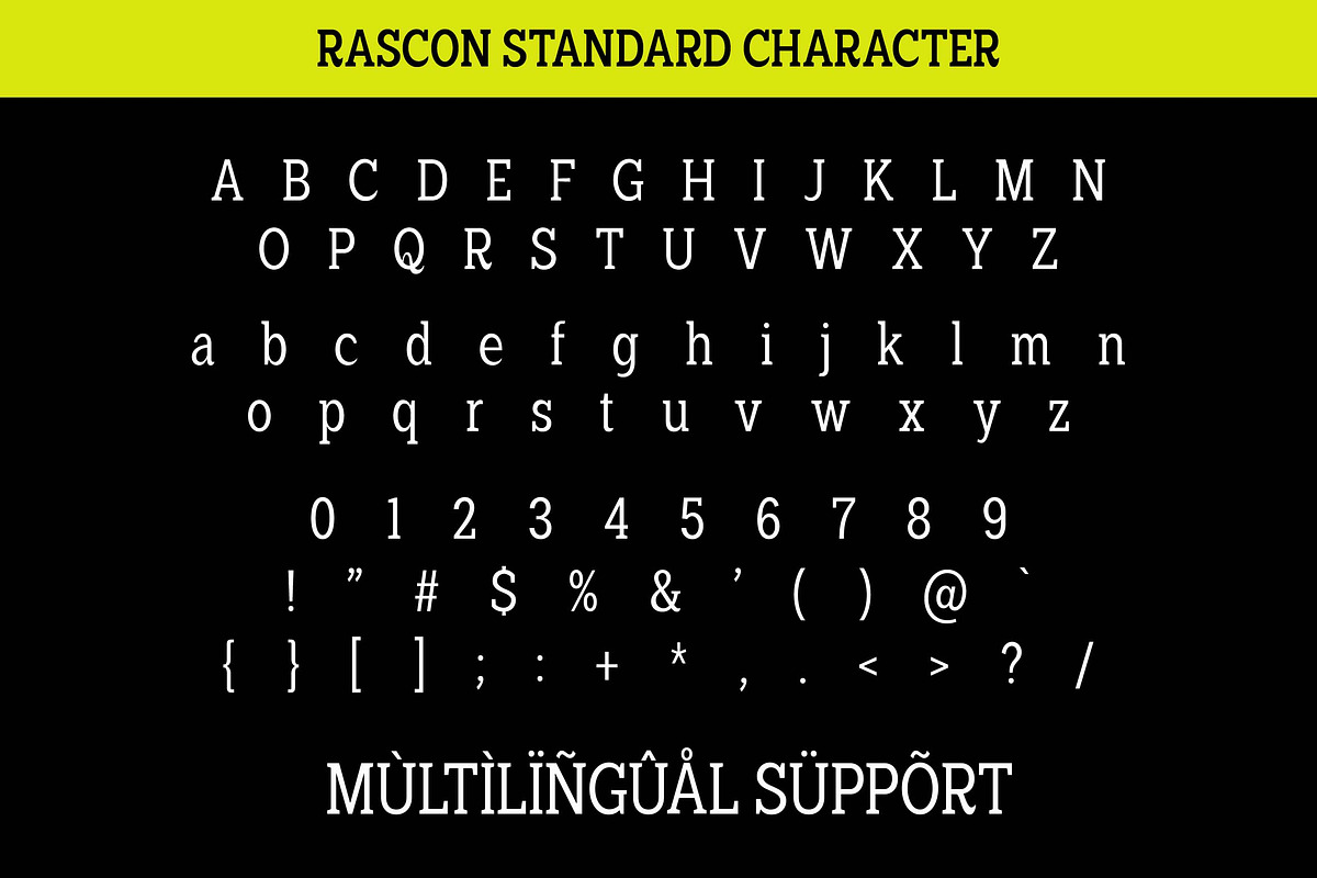 Rascon, a Slab Serif Font by Areatype (Photo 8 of 11)