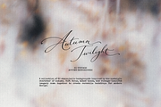 Autumn Twilight: Vintage Backgrounds, a Texture Graphic by TiriCo (Thumbnail 10 of 13)