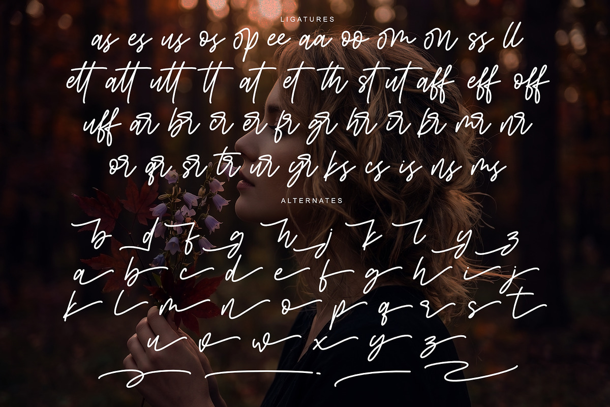 Bumgreks Signature - Stylish Script, a Script Font by Sealoung (Photo 11 of 11)