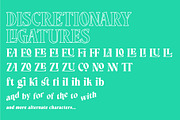 Voska Complete Family, a Sans Serif Font by Alternate Studio (Thumbnail 8 of 8)