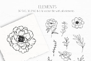 PEONY GARDEN LINE ART, an Object Graphic by CaraulanStore (Thumbnail 5 of 8)