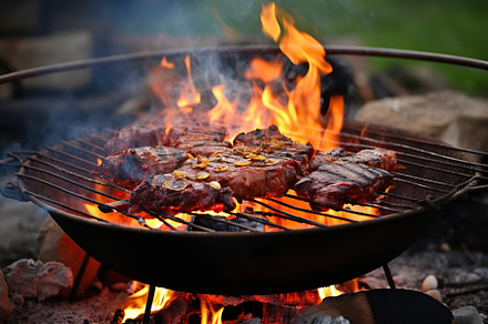 Tasty steaks on brazier with flames, a Photo by AlyaAnd