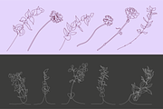 30 FineLine Flowers, an Illustration by Inkwell Supply Co (Thumbnail 2 of 15)