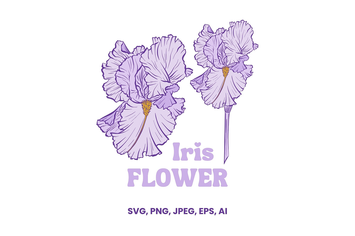 Iris Flower Purple Line Art Vector, an Illustration by ilonitta (Photo 3 of 7)