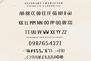teacher, a Serif Font by FreshTypeINK (Thumbnail 5 of 8)