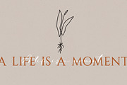 Bay Area Font Family, a Script Font by Spasibenko Art (Thumbnail 3 of 18)