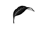 Hand Drawn Leaf Line Art Bundle, an Illustration by hafijul (Thumbnail 46 of 51)
