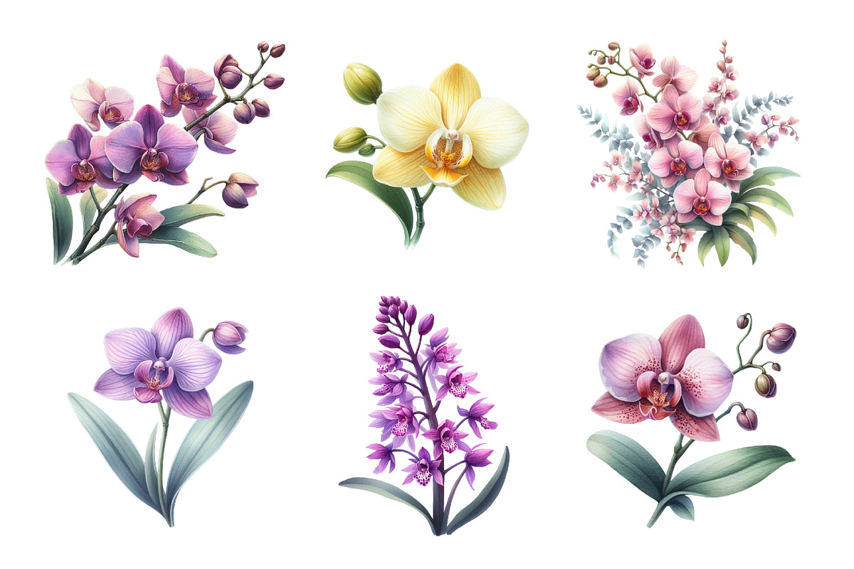 Watercolor Orchid Clipart, an Illustration by Daily.Designs (Photo 2 of 5)