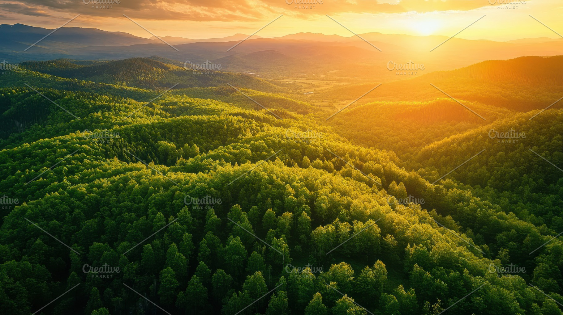 Sunset over lush green mountain fore, a Photo by Pixeness Studio