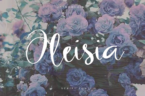 OLEISIA SCRIPT preview 8