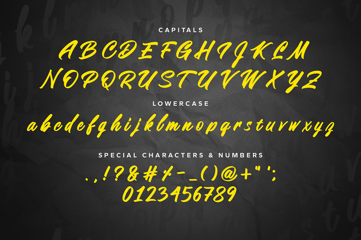Gin & Juice - Handwritten Font, a Font by Lettering Daily (Photo 2 of 6)