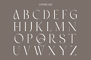 Ambrosia | Modern Serif, a Serif Font by Muntab_Art (Thumbnail 9 of 11)