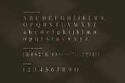 Delove Elegant Luxury Serif Font, a Serif Font by Graphicxell (Thumbnail 7 of 8)