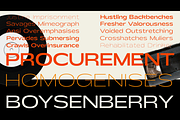 Shinko Sans | Humanist Wide Font, a Sans Serif Font by Jolicia Type (Thumbnail 4 of 17)