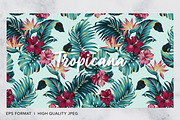 Tropicana, Tropical Print Patterns, a Pattern Graphic by ASTUDIO (Thumbnail 9 of 10)