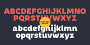 Chopsee, a Sans Serif Font by TypeUnion (Thumbnail 8 of 9)