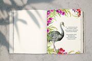 Animals Australia Watercolor, an Animal Illustration by MitrushovaArt (Thumbnail 7 of 10)