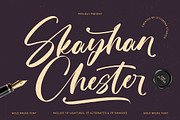 Skayhan Chester Bold Brush Font, a Script Font by Letterena Studios Script (Thumbnail 1 of 20)