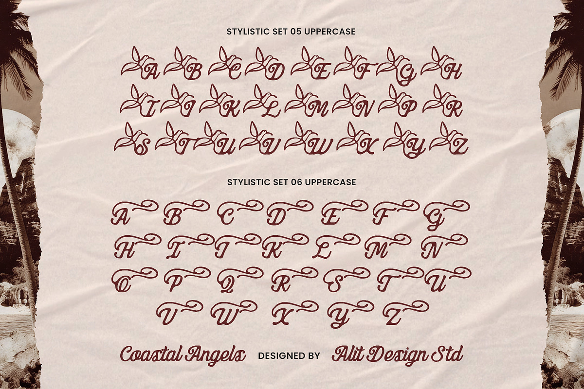 Coastal Angels Typeface, a Script Font by alit design (Photo 13 of 17)
