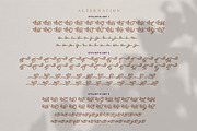 Dianthus Maiden Typeface, a Script Font by alit design (Thumbnail 8 of 17)