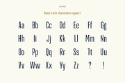 Green Grove // 3 fonts, a Serif Font by True Story Letterworks (Thumbnail 3 of 12)