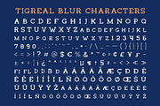 Tigreal Blur, a Serif Font by Craft Supply Co. (Thumbnail 8 of 8)